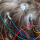 Image for article titled How We'll Control the Future With Our Thoughts